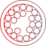 hypercholesterol icon