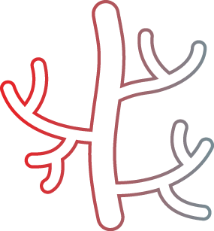 kidney disease icon