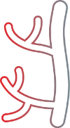 pro inflammatory icon