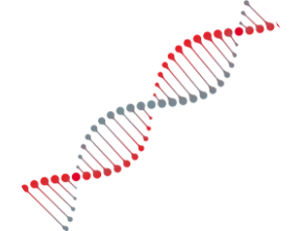 dna helix