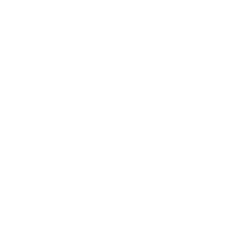 injection icon