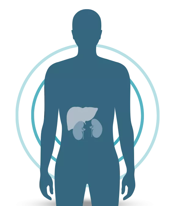kidney disease icon